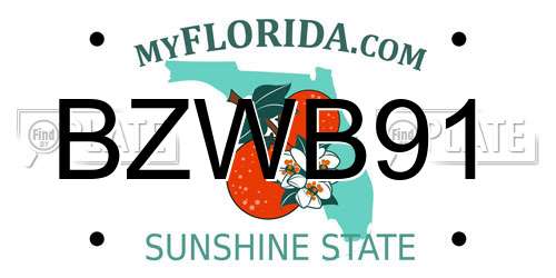 BZWB91 Florida License Plate