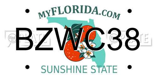 BZWC38 Florida License Plate