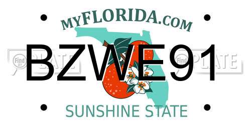 BZWE91 Florida License Plate