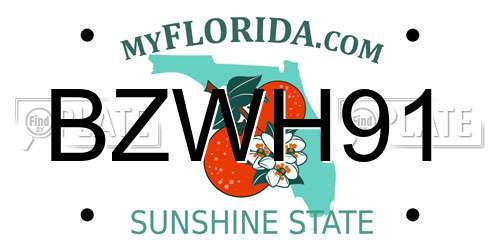 BZWH91 Florida License Plate