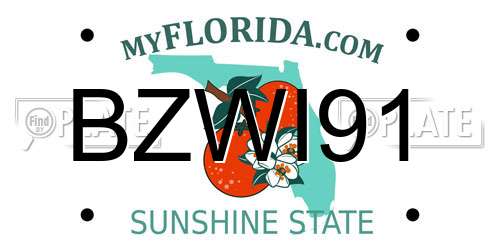 BZWI91 Florida License Plate