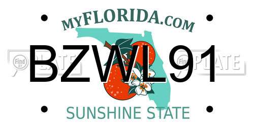BZWL91 Florida License Plate