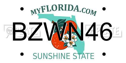 BZWN46 Florida License Plate