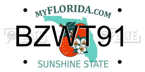 BZWT91 Florida License Plate