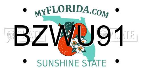 BZWU91 Florida License Plate