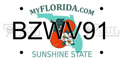 BZWV91 Florida License Plate