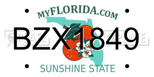 BZX1849 Florida License Plate