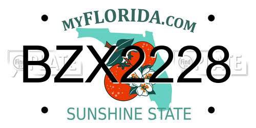BZX2228 Florida License Plate