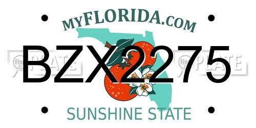 BZX2275 Florida License Plate