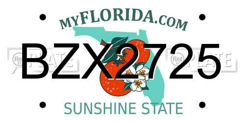 BZX2725 Florida License Plate