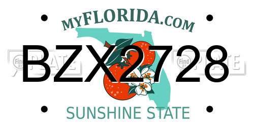 BZX2728 Florida License Plate