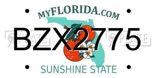 BZX2775 Florida License Plate