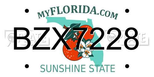BZX7228 Florida License Plate