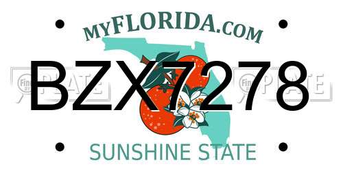 BZX7278 Florida License Plate