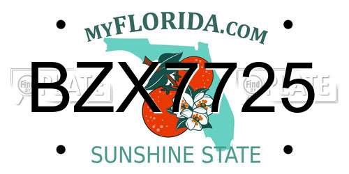 BZX7725 Florida License Plate
