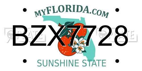 BZX7728 Florida License Plate