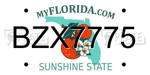 BZX7775 Florida License Plate
