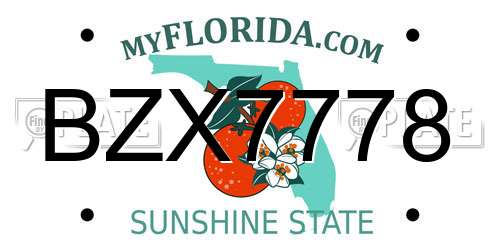 BZX7778 Florida License Plate