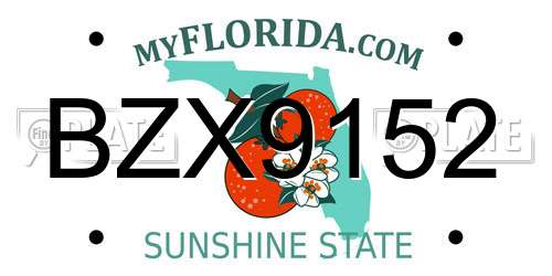 BZX9152 Florida License Plate
