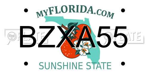 BZXA55 Florida License Plate