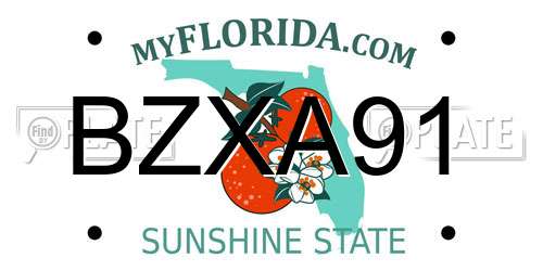 BZXA91 Florida License Plate