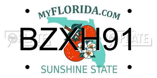 BZXH91 Florida License Plate