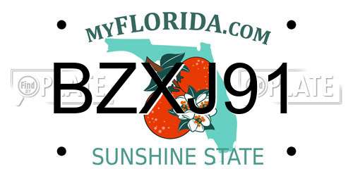 BZXJ91 Florida License Plate