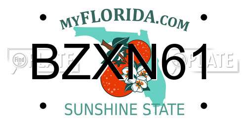 BZXN61 Florida License Plate