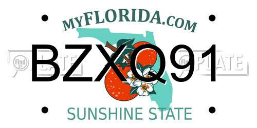 BZXQ91 Florida License Plate
