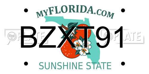 BZXT91 Florida License Plate