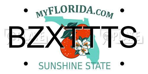 BZXTTTS Florida License Plate