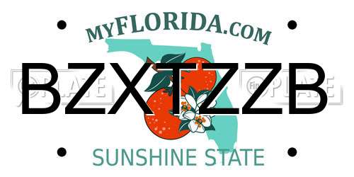 BZXTZZB Florida License Plate