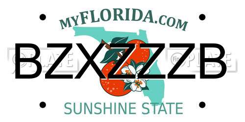 BZXZZZB Florida License Plate
