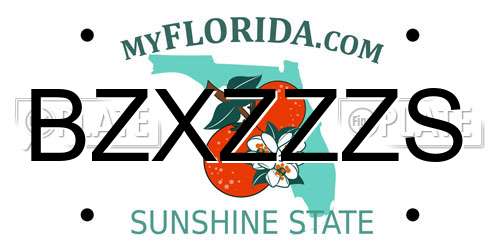 BZXZZZS Florida License Plate