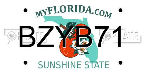 BZYB71 Florida License Plate