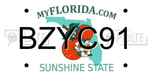 BZYC91 Florida License Plate