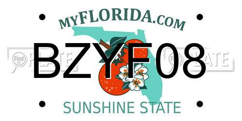 BZYF08 Florida License Plate