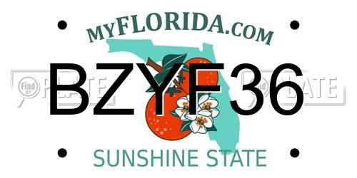 BZYF36 Florida License Plate
