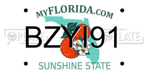 BZYI91 Florida License Plate