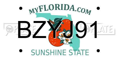 BZYJ91 Florida License Plate