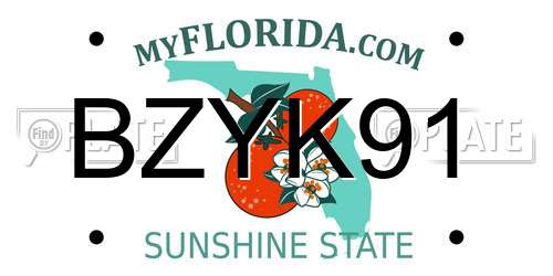 BZYK91 Florida License Plate