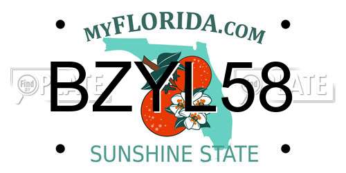 BZYL58 Florida License Plate