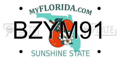 BZYM91 Florida License Plate
