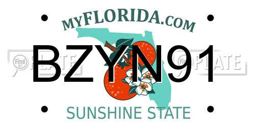 BZYN91 Florida License Plate
