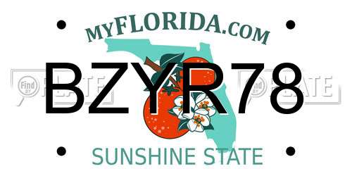 BZYR78 Florida License Plate