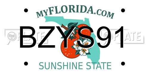 BZYS91 Florida License Plate