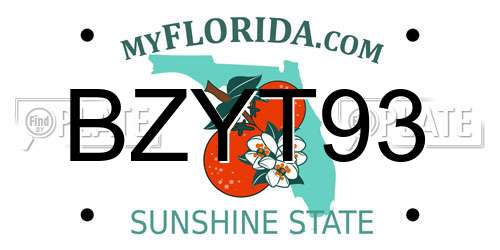 BZYT93 Florida License Plate