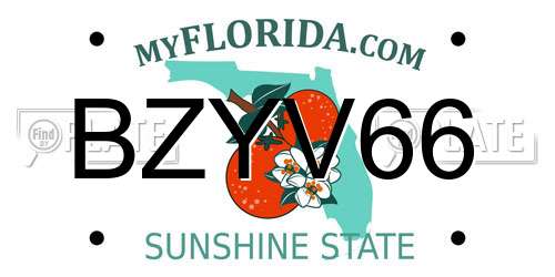 BZYV66 Florida License Plate