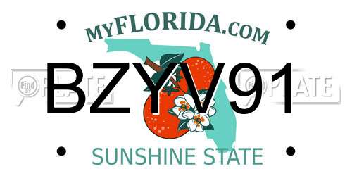 BZYV91 Florida License Plate