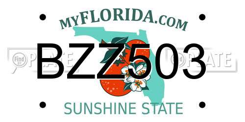 BZZ503 Florida License Plate